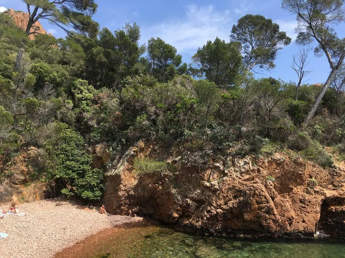 Studio Cosy Proche Mer Apartment Saint-Raphael